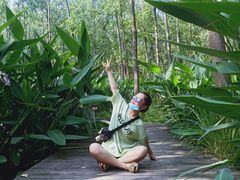 -合肥滨湖国家森林公园