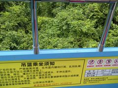-野象谷景区