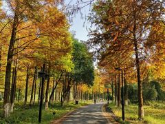 -西溪国家湿地公园