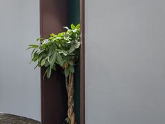 -东荟轩