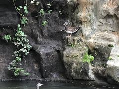 -鸳鸯湖景区
