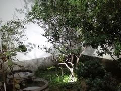 -院子餐厅·大锅菜·老杭帮(桥西直街店)