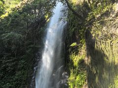 -莫里热带雨林景区