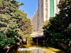 -晓港公园