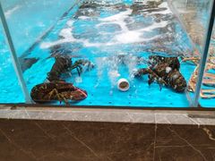 -艳阳天·非遗楚菜(武汉客厅店)