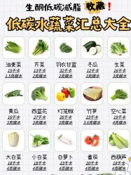 -Fundi张玉珊修身堂·indiba·BTL科技瘦身