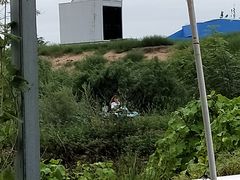 -北戴河圣蓝海洋公园
