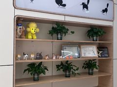 -凯瑞希宠物医院·狂犬免疫·微创·皮肤科