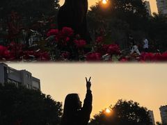 -深圳龙潭公园