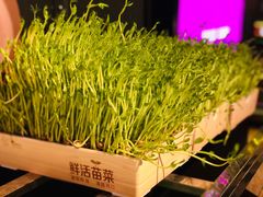 -九鼎轩脆毛肚火锅(商业街店)