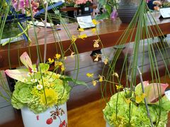 -荷兰花海