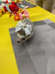 -酷嗒动物文化乐园(cutezoo西溪乐天城店)