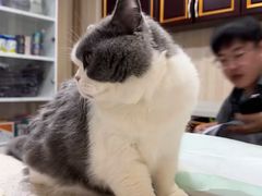 -宠爱国际动物医院·疑难骨科·心肾内科·皮肤科(太阳宫店)