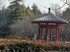 -洛阳市隋唐城遗址植物园