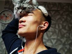 -利又安动物医院··老年病·猫科犬科·中兽医