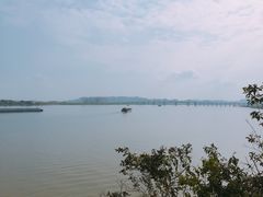-羚羊峡古栈道森林公园