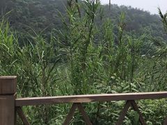 -桐君山春江扬帆码头