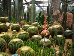 -华南国家植物园-售票处