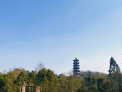-重庆园博园