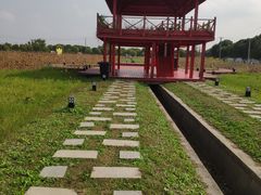 -嘉北郊野公园
