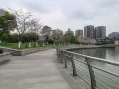 -映月湖中央公园