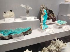 -湖南省地质博物馆