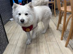 -OZ cafe(南昌路店)