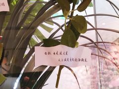 -周沫西餐(嘉禾金铂天地店)