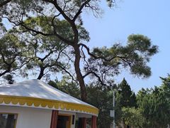 -广州莲花山旅游区