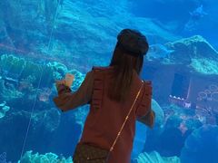 -迪拜水族馆及水下动物园