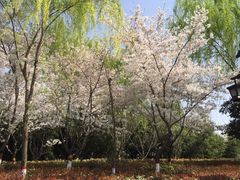 -西安汉城湖景区