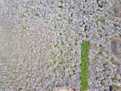 -明秦王墓遗址