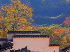 -塔川景区