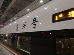 -百事佳烧鸭牛腩(上海虹桥站店)