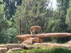 -北京野生动物园