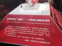 -湖南省地质博物馆