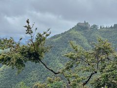-莫干山风景区