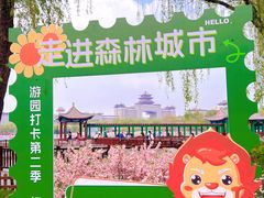 -莲花池公园