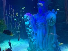 -沈阳海洋探索中心