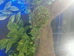 -蕃茄述·好汤自然来(江汉路店)