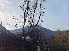 -华清宫景区