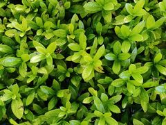 -三亚亚龙湾美高梅度假酒店FUN动冲浪