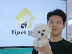-翊宠yipet猫狗购宠庄园