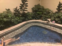 -大盘山温泉山庄