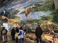 -自贡恐龙博物馆