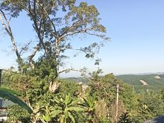 -西双版纳原始森林公园
