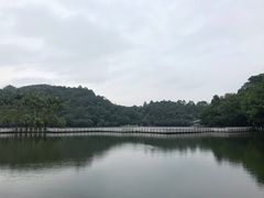-西樵山风景名胜区-天湖公园