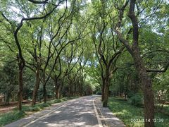 -东湖落雁景区