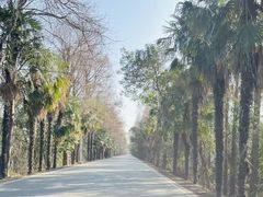 -上海海湾国家森林公园