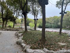 -溱湖国家湿地公园